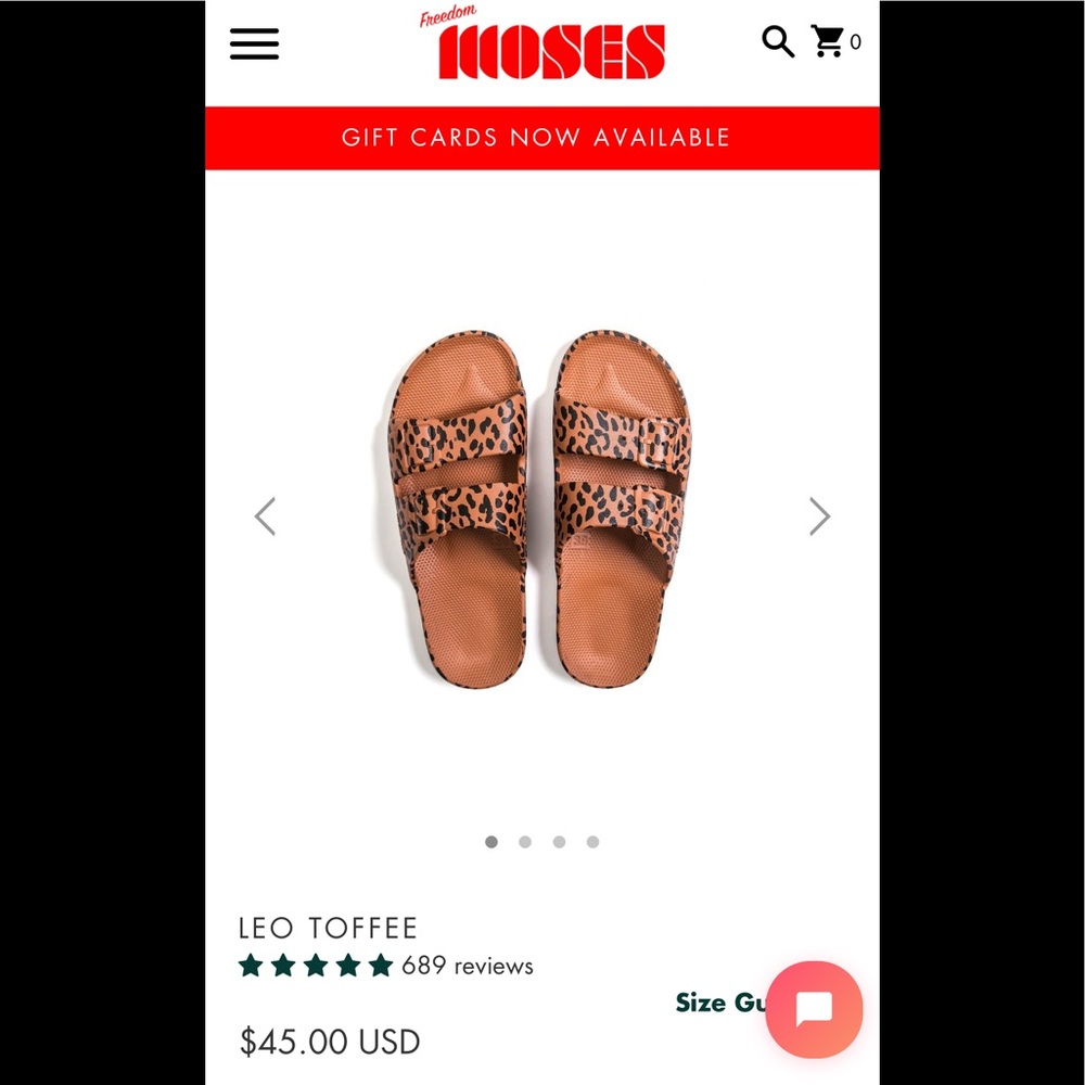 Freedom Moses Slides